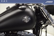 Harley-Davidson® FXDWG Dyna Wide Glide