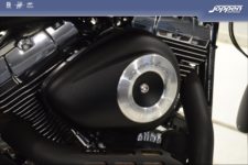 Harley-Davidson® FXDWG Dyna Wide Glide