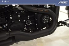 Harley-Davidson® FXDWG Dyna Wide Glide