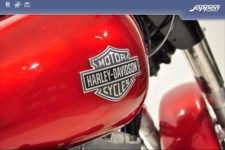 Harley-Davidson® FLS Softail Slim