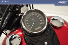 Harley-Davidson® FLS Softail Slim
