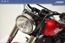 Harley-Davidson® FLS Softail Slim