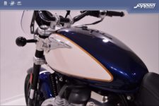 Royal Enfield SuperMeteor650 Celestial