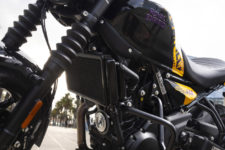 Black large engine guards