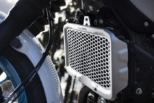 Silver radiator guard