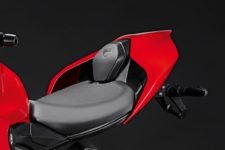 Streetfighter v2 single-seater tail guard