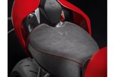 Streetfighter v2 single-seater tail guard