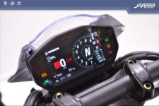 Ducati Monster