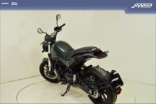 Benelli Leoncino500
