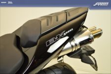 Suzuki B-King