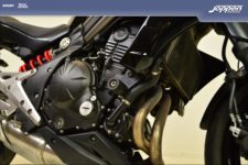 Kawasaki ER6N ABS