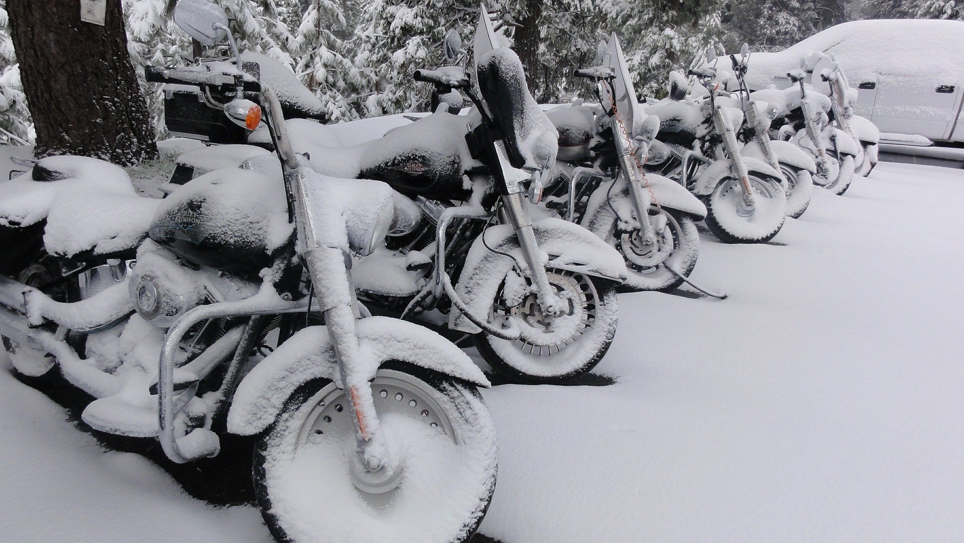 Winterbeurt