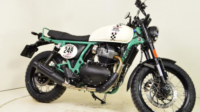 Bear 650 Bear 650